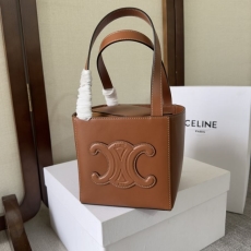 Celine Triomphe Bags